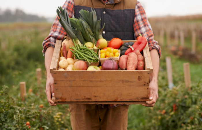 Person carrying vegetables in a crate